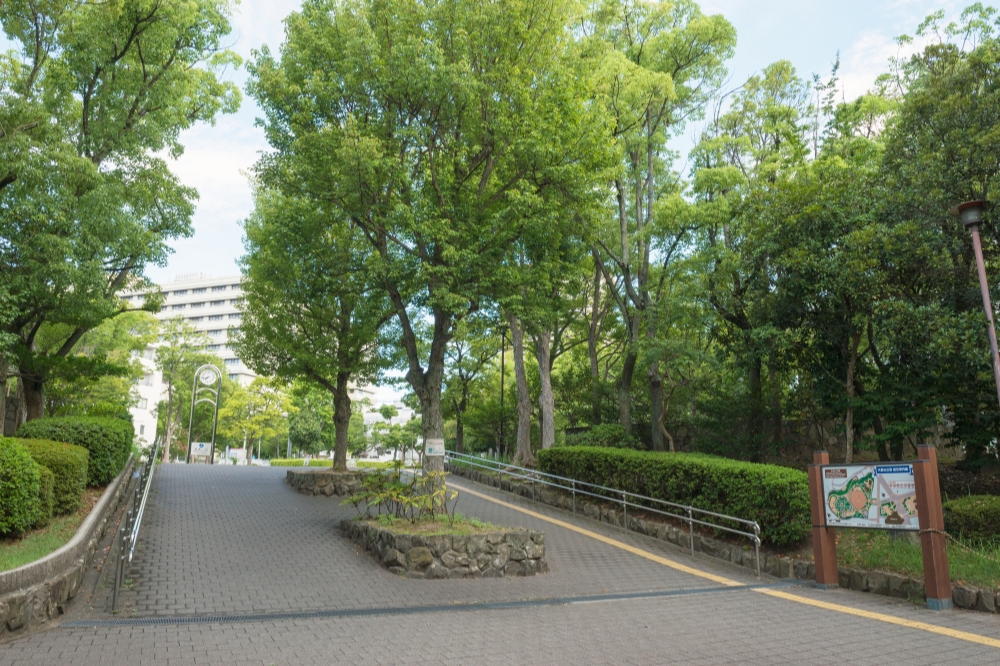 大倉山のお勧めスポット